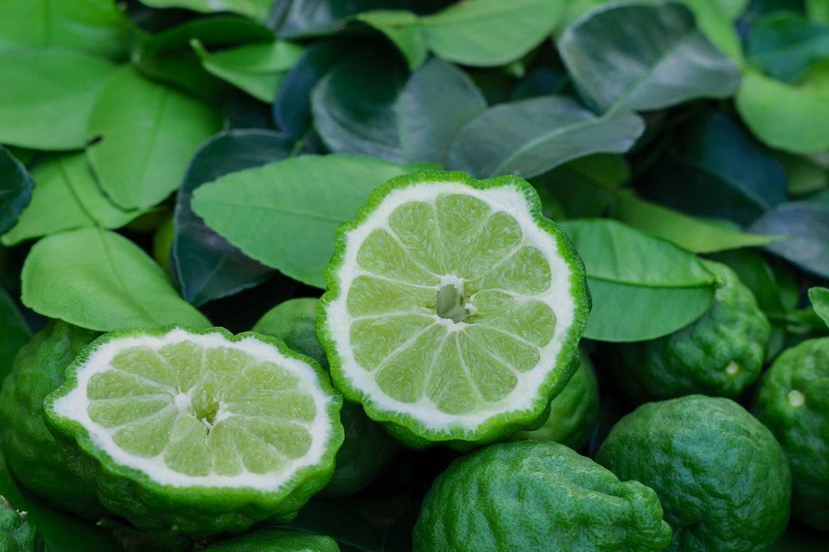 Cómo usar el aceite esencial de Bergamota