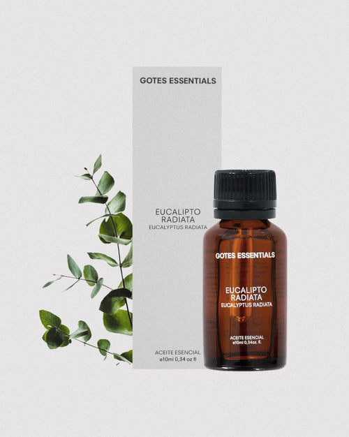 Eucalyptus Radiata Essential Oil