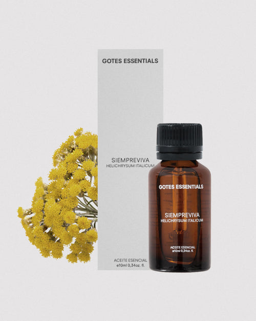 Immortelle Essential Oil