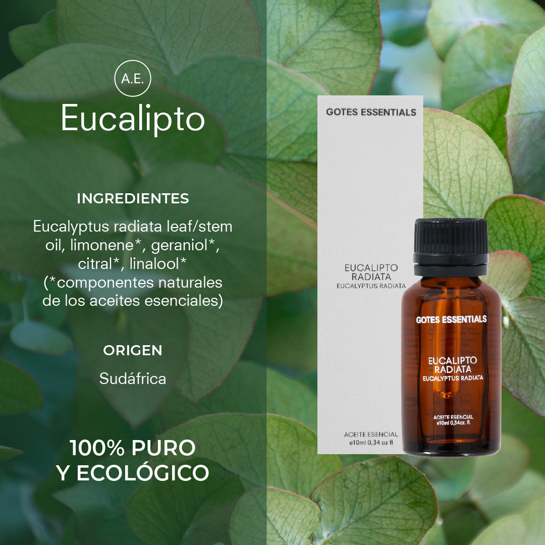 Eucalyptus Radiata Essential Oil