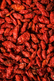 Goji
