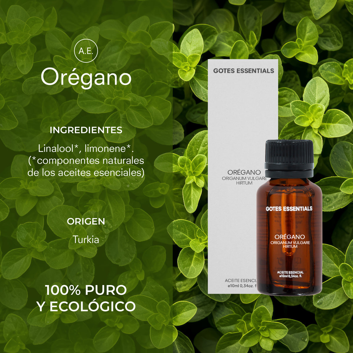 Aceite Esencial de Orégano