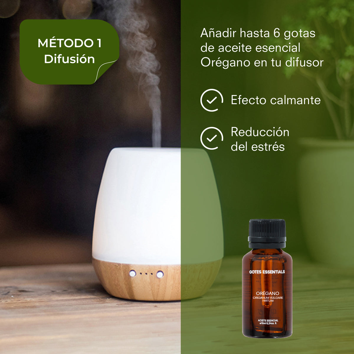 Oregano Essential Oil